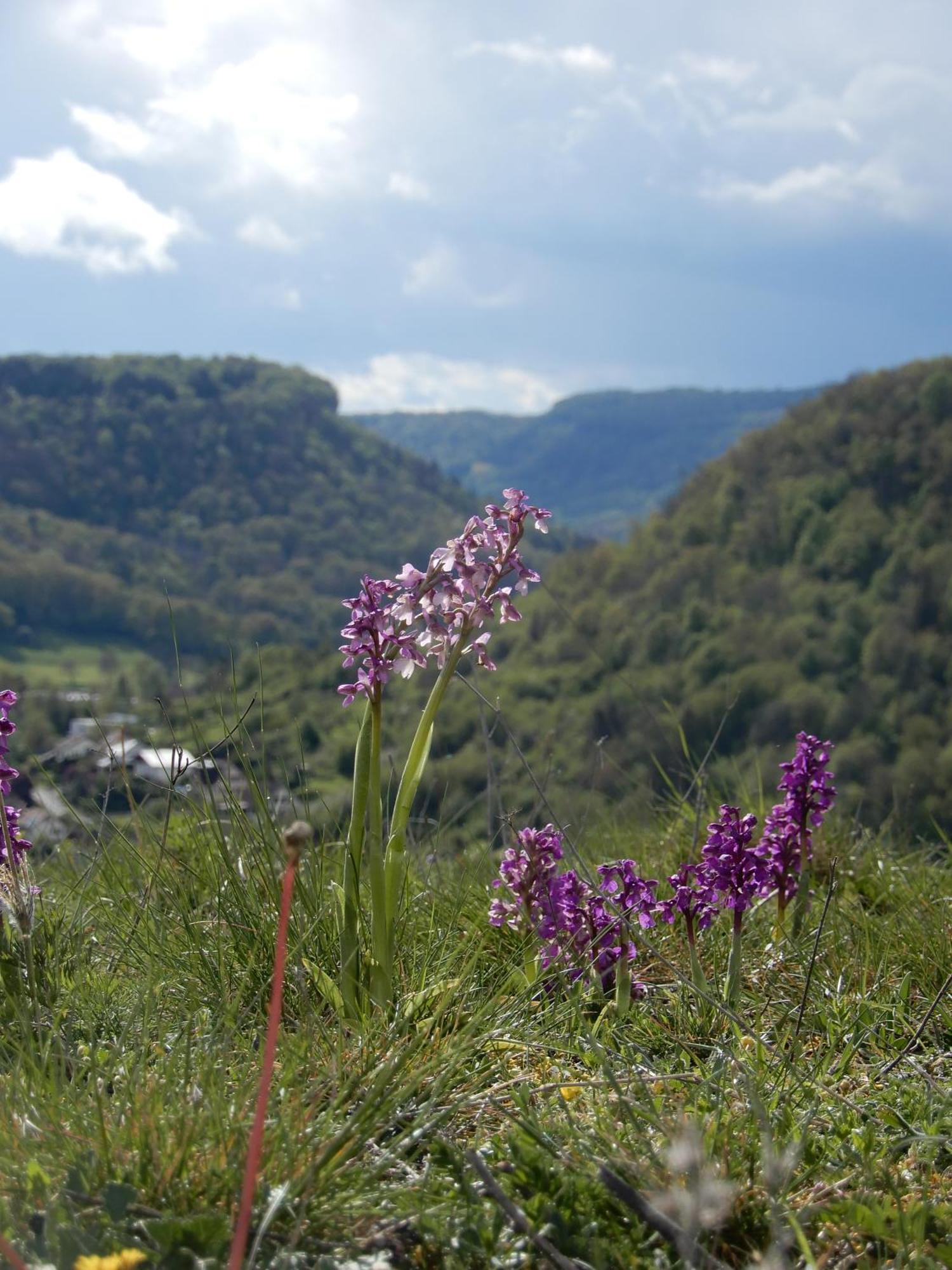 Maison De Vacances - Vue Panoramique Riviere Ornans Eksteriør bilde